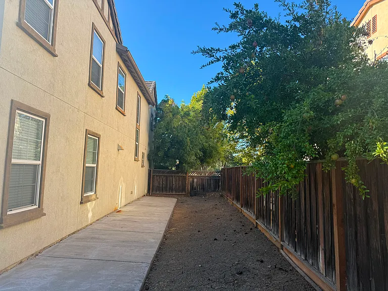 Side yard