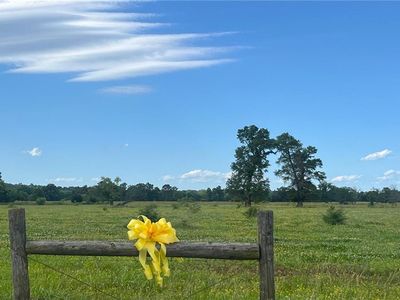 LOT 3 Taylor Bridge Rd SW, Calhoun, GA, 30701