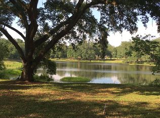 13330 Lewis Gallagher Rd, Dover, FL 33527