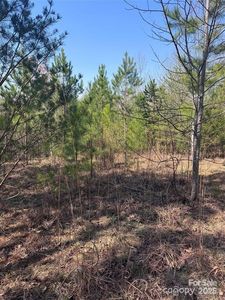 0 Cross Creek Dr #277, Rutherfordton, NC, 28139