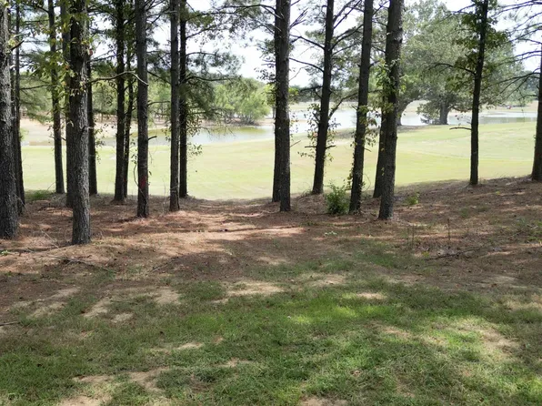 365 Belle Farms Rd Lot 17, Williston, TN 38076