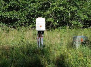 101 Sundance Rd, Long Lane, MO 65590