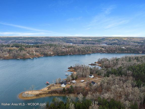Image 5: Big Lake Views