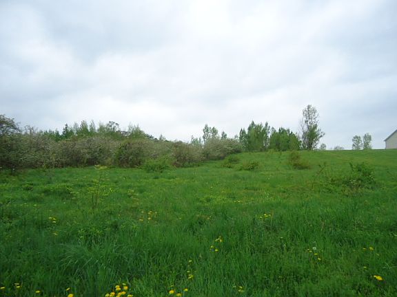 2nd image of Patricia Ln