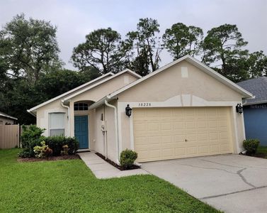 30228 Birdhouse Dr, Wesley Chapel, FL, 33545