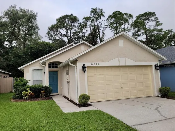 30228 Birdhouse Dr, Wesley Chapel, FL 33545