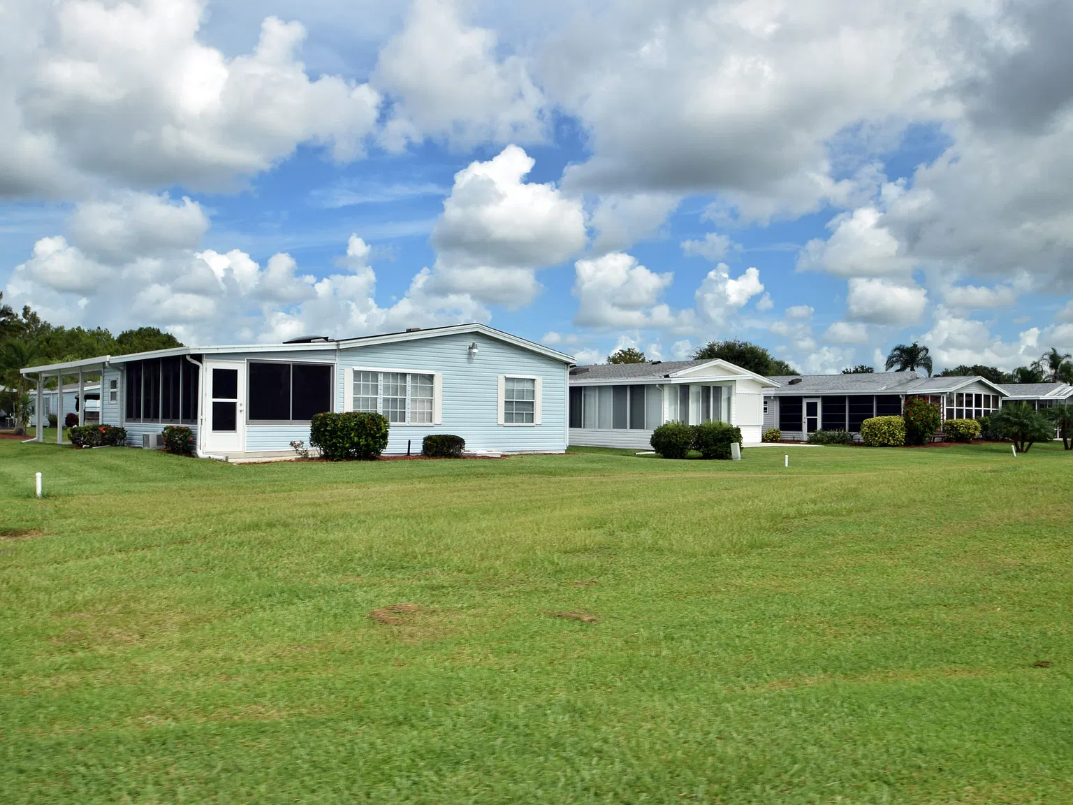 Savanna Club — Photo 4