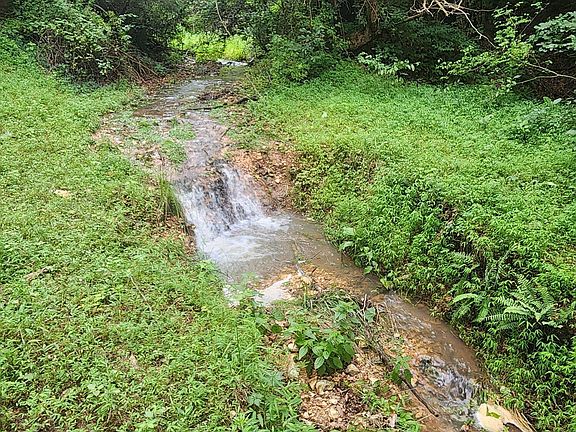 3rd image of 513 Stone Road