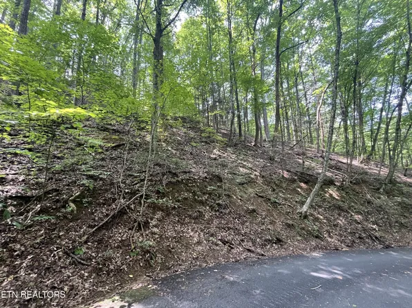 334 Ridgefield Dr Lot 334, Sevierville, TN 37876