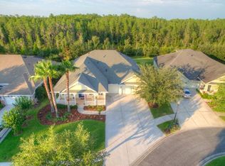 8600 Winsome Way, Land O Lakes, FL 34637