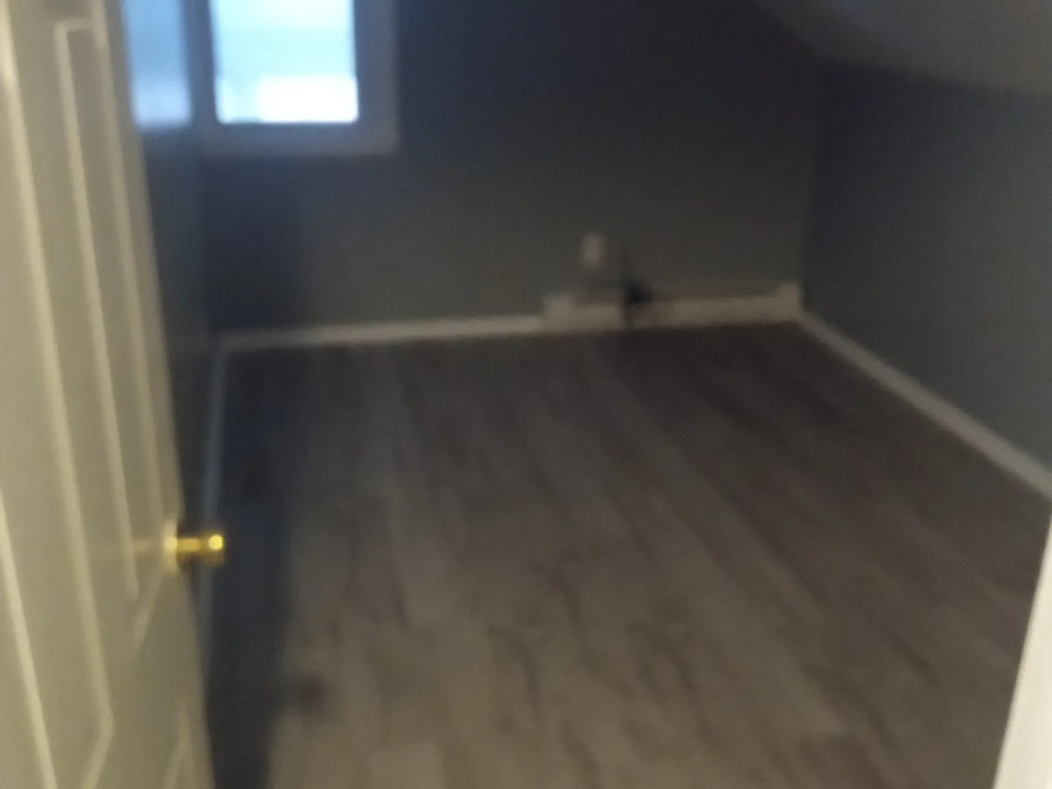 2 bed, 56 sqft, $1,350 — Photo 1