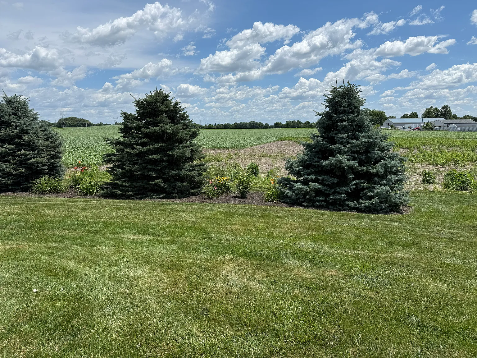 3 bed, 1880 sqft, $2,500 — Photo 3