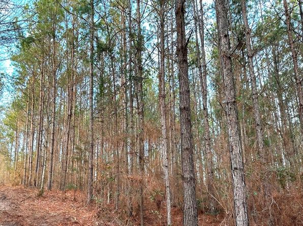 0 Pine Ridge Rd, Purvis, MS 39475