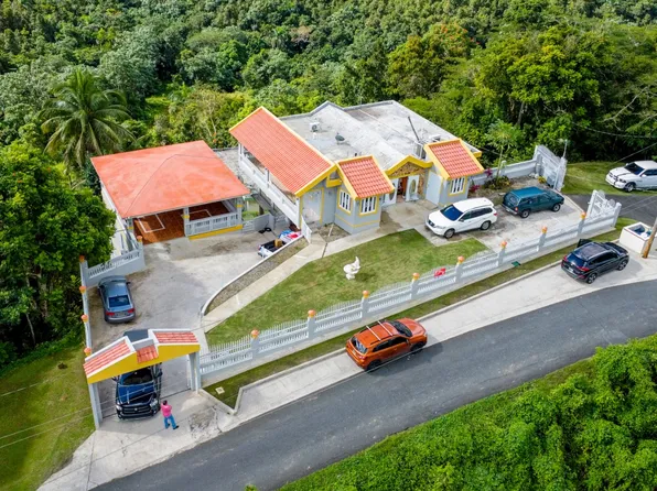 0 Sector La Rampla Bo Sumidero, Aguas Buenas, PR 00703