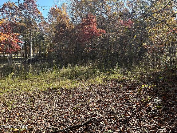 4th image of 1665 Hollis Poore Rd Lot 1 & 2