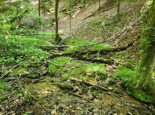 Beaver Lake Dr LOT 9, Ellijay, GA 30540