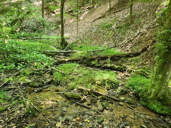 Beaver Lake Dr Lot 9, Ellijay, GA 30540