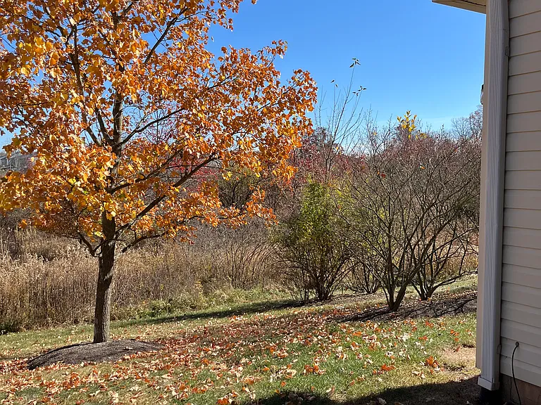 166 Wrangler Ct — Photo 14