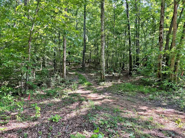4 Raby Hollow Rd Lot 4, Kingston, TN 37763