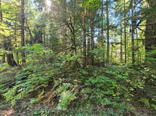 1655144006700 McKenzie St, Blue River, OR 97413