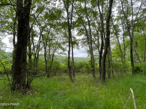 Westcolang Rd, Lackawaxen, PA 18435