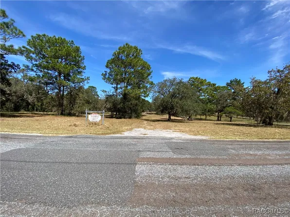 3021 W Woodthrush St, Lecanto, FL 34461