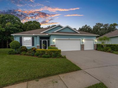 11206 Kiskadee Cir, New Port Richey, FL, 34654