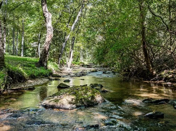 374 Wolf Creek Rd, Mineral Bluff, GA 30559