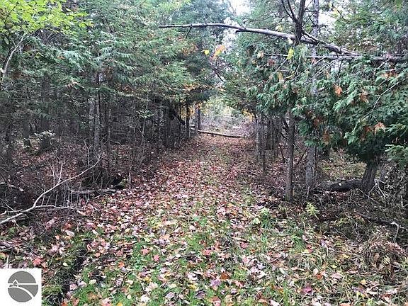 2nd image of 0 Cook Rd