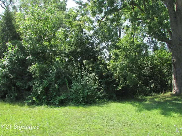 PARCEL Gratiot Rd #A, Saginaw, MI 48638
