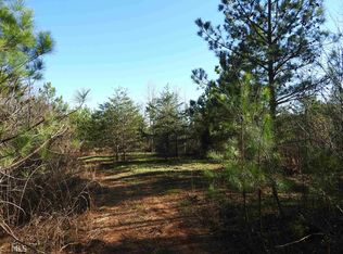 0 Leeches Rd #9586, Ellijay, GA 30540