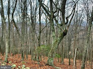 LOT 32 Boonedock Dr, Upper Tract, WV 26866