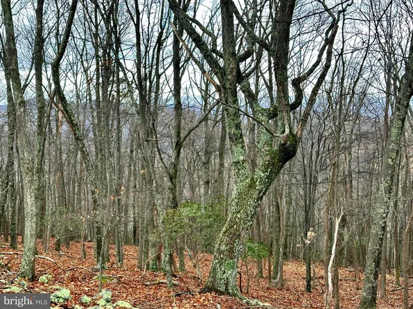 LOT 32 Boonedock Dr, Upper Tract, WV 26866