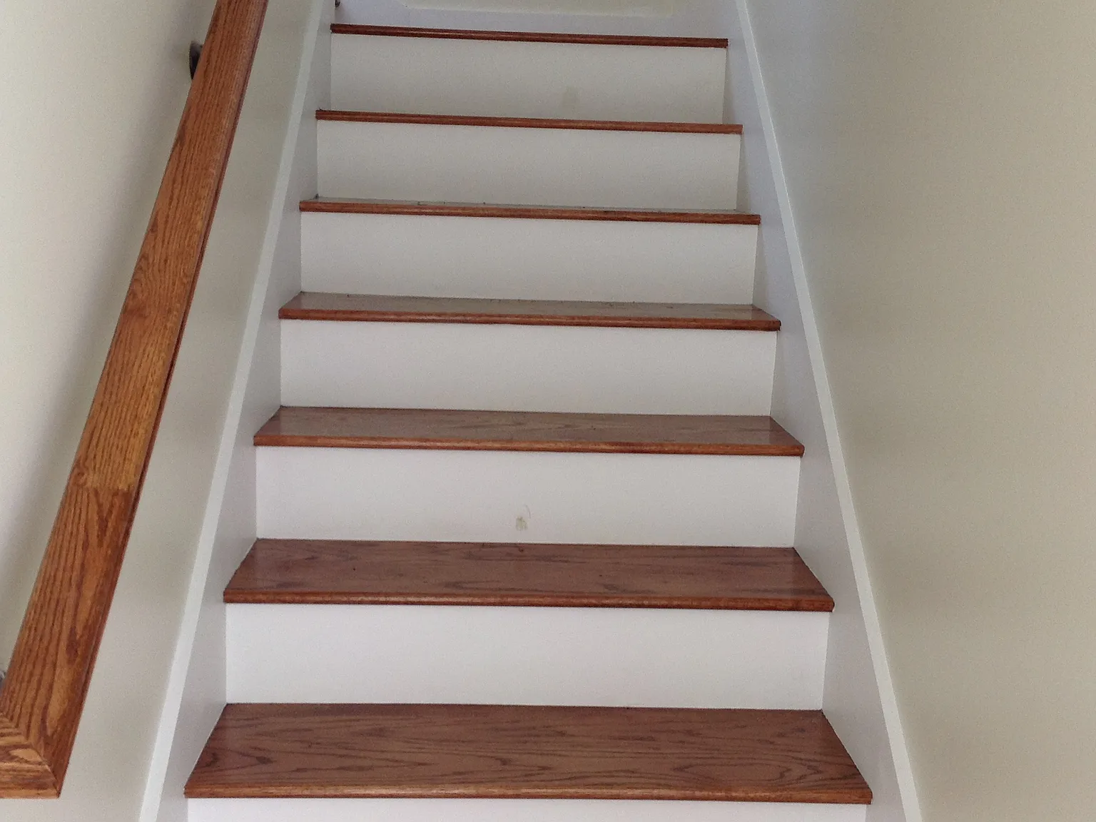 1 bed, 1000 sqft, $1,625 — Photo 3