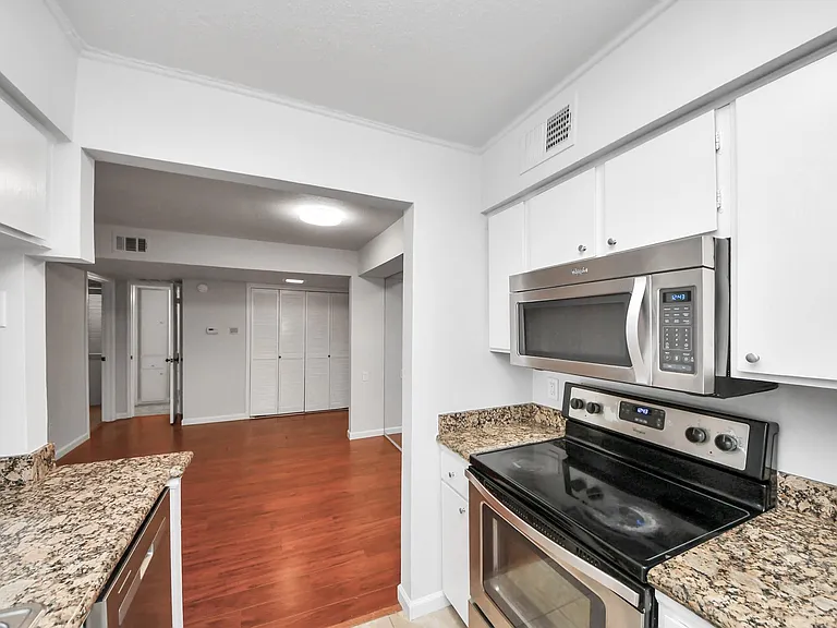 4641 Wild Indigo St #450 — Photo 4