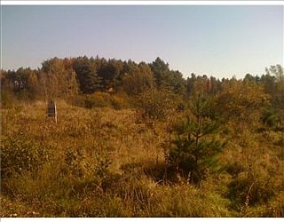 2nd image of 250 Emmons Rd