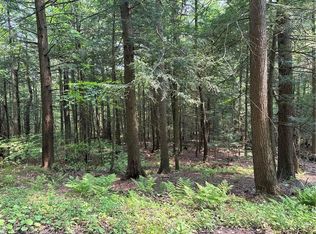 Spring Rd S Lot 12, Dansville, NY 14437