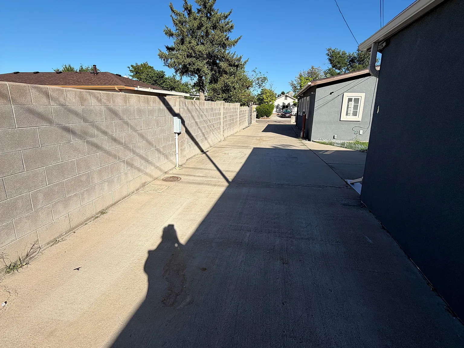 819 Avocado St — Photo 4