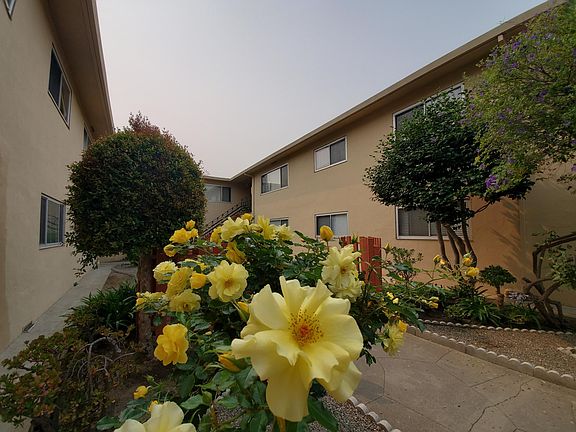 2nd image of 1915 Murchison Dr APT 7