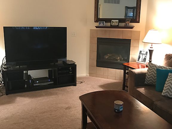 Gas fireplace