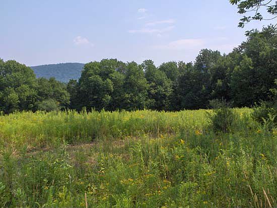1st image of 6023 State Route 80