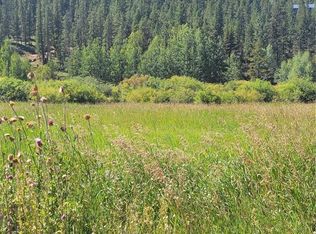 142 Bishop Rd, Bailey, CO 80421