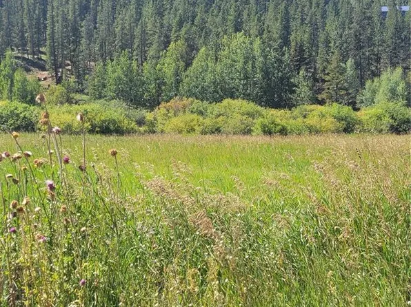 142 Bishop Road, Bailey, CO 80421