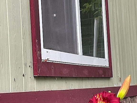 Flower from flowerbed