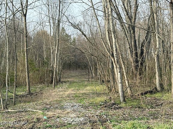 2nd image of 1115 Frank Campbell Rd