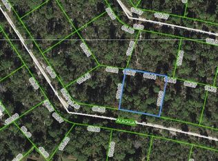 3490 Alachua Ave, Sebring, FL 33875