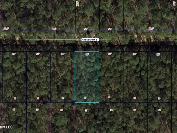 0 Naseberry St, Bay Saint Louis, MS 39520