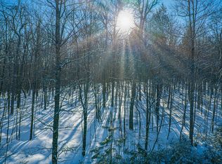 BEAR Tail Point, Phelps, WI 54554