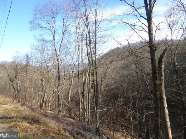 LOT 4 Highland Springs Rd, Old Fields, WV 26845