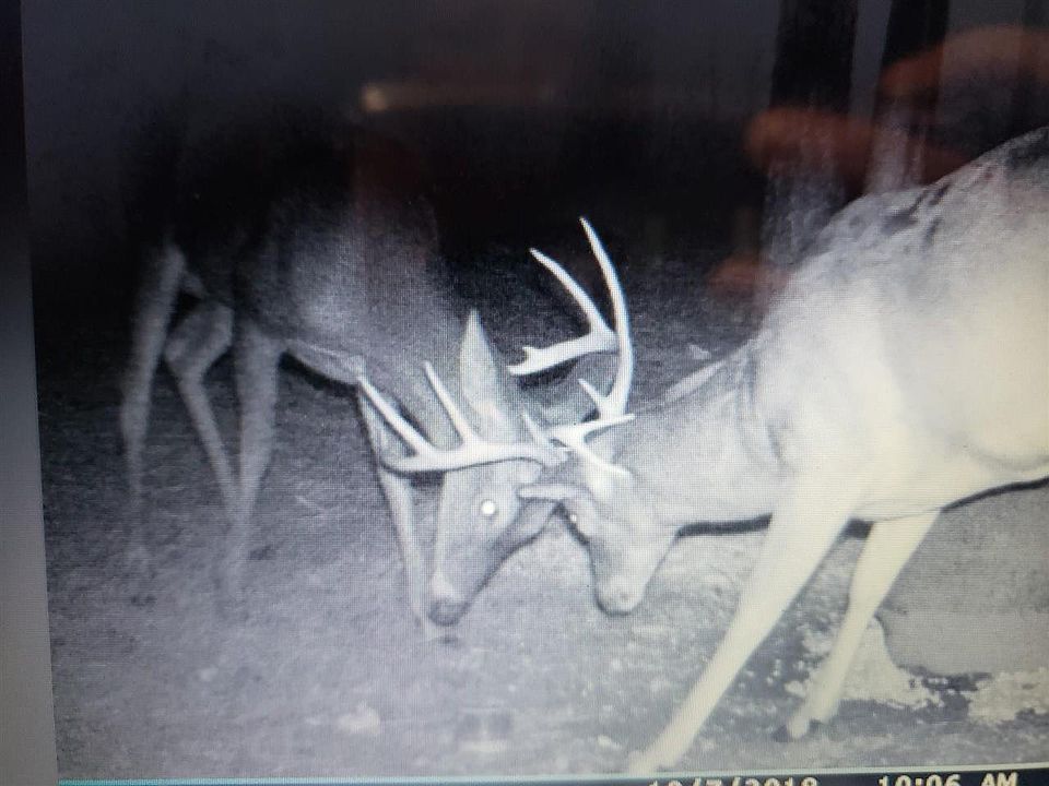 2nd image of 5326 N Highway 432